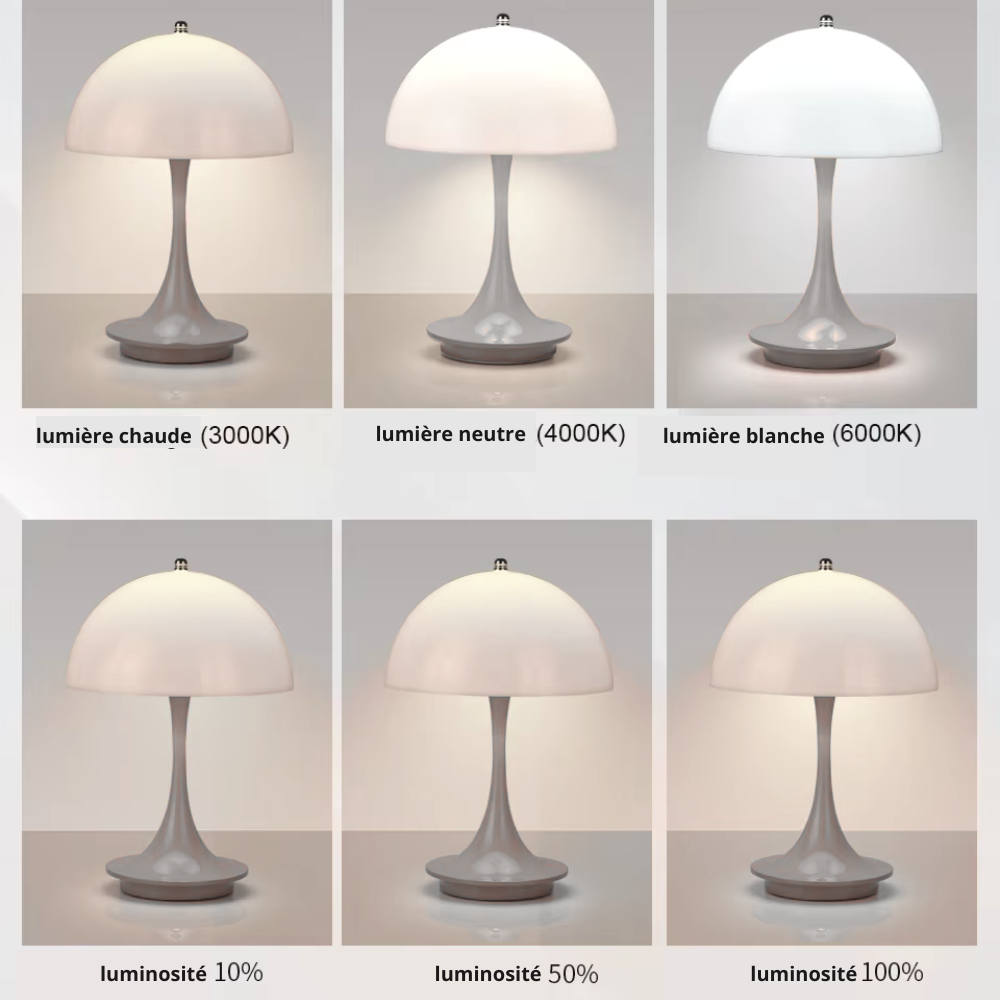 Lampe champignon gris